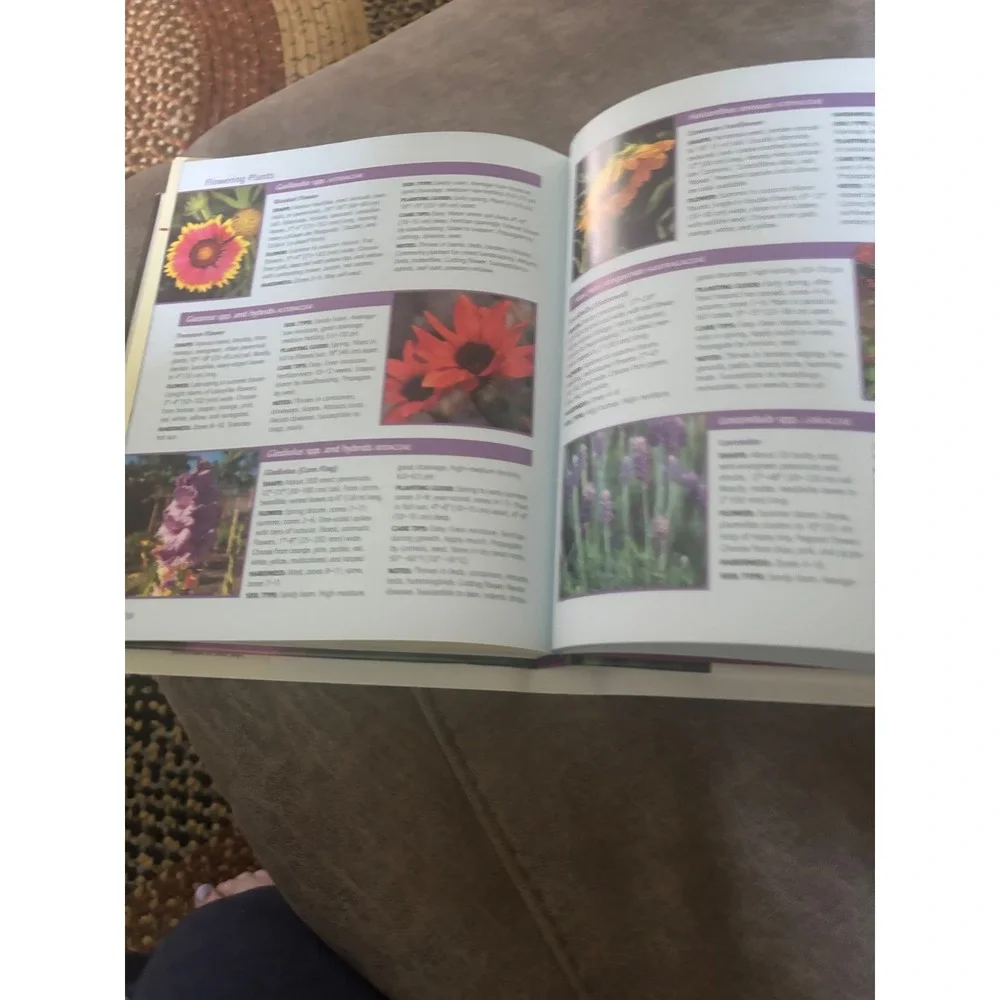 Birds in Your Backyard Guide Robert J Dolezal Reader's Digest Hardcover 2005
